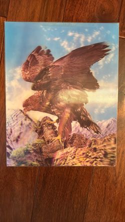 Lenticular EAGLE 3D Postcard Frame Japan 
