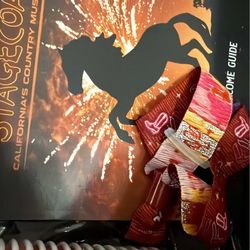 1 stagecoach 3-day pass