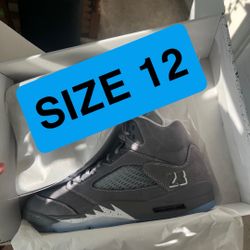 Jordan 5 Wolf Grey size 12