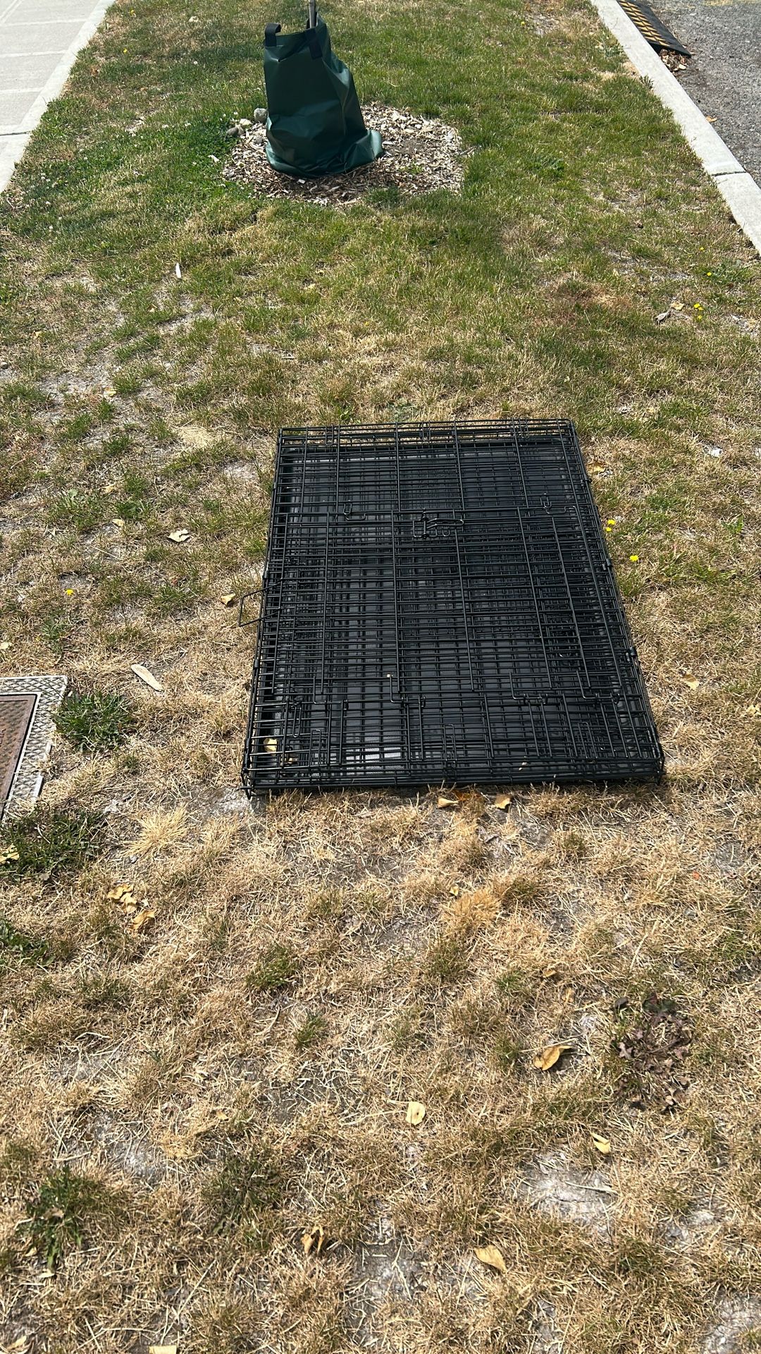 Dog Crate