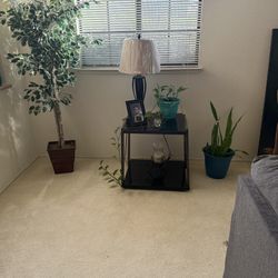 Coffee And End Tables 