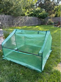 Mini Greenhouse