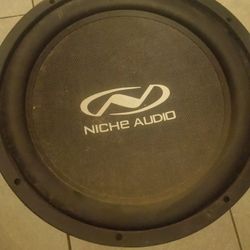 15" Niche Audio Speaker