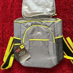 😱 NEW❗️INSULATE…. BACKPACK 🎒 COOLER❗️Have 3  of Them❗️$10.00 EACH❗️
