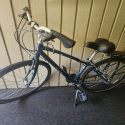 Raleigh Cruise Speed/Off-Road Bike