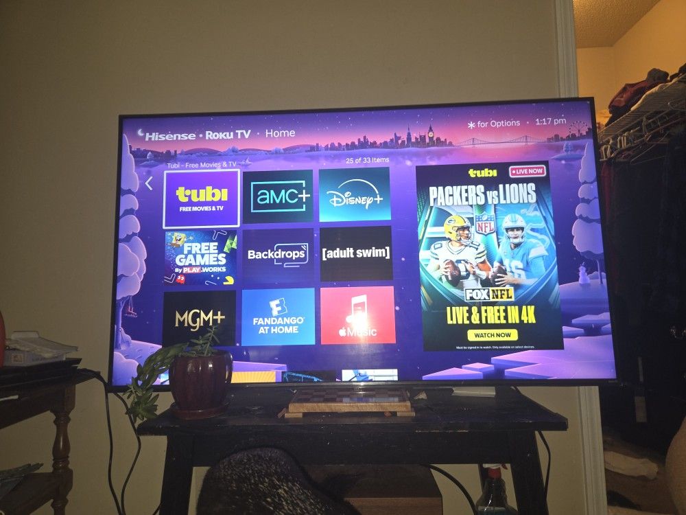 65inch Smart Roku Flat screen