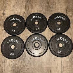 X6 (2.5lbs) Weights
