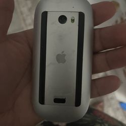 Apple Mouse 