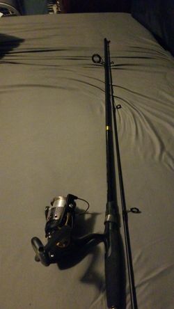 Fishing pole