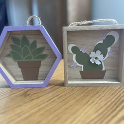 Succulent And Plant Decor