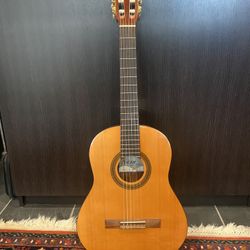 Nylon String Acoustic Guitar With Soft Case
