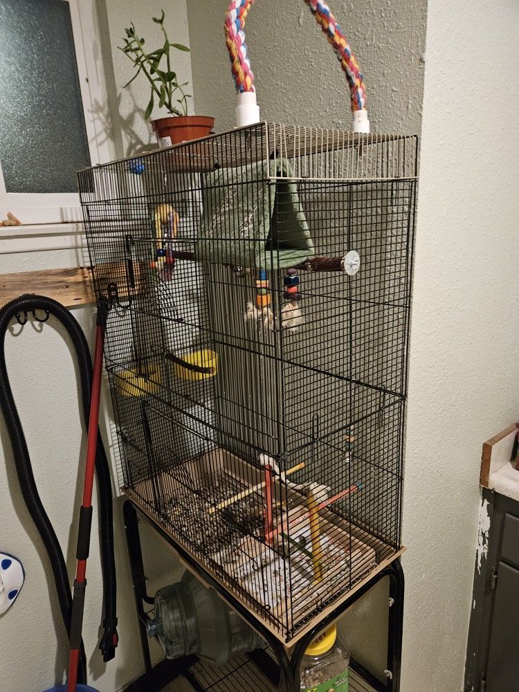 Brid Cage For Conure Or Other Small Birds
