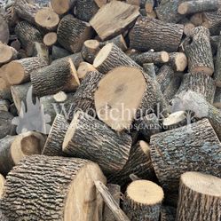 Fresh Maple Wood  Rounds And Logs 