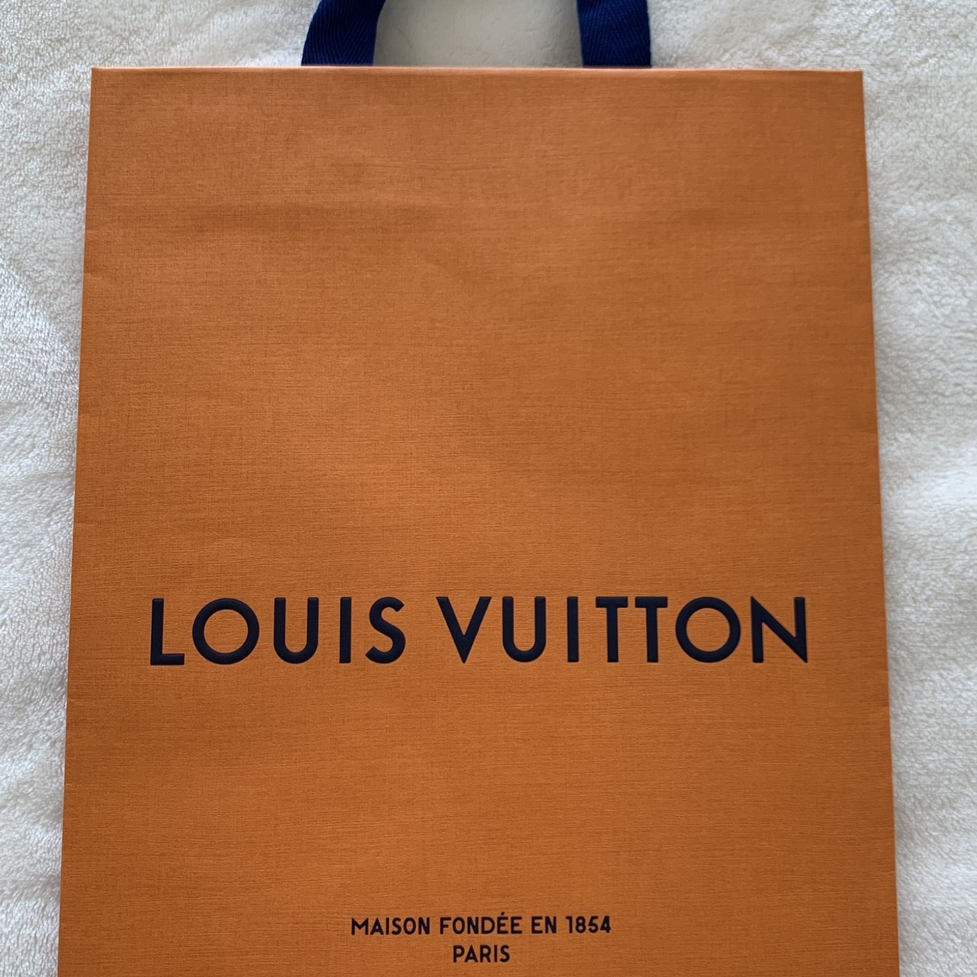 Louis Vuitton Paper Bag