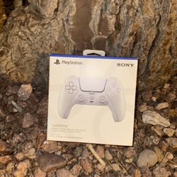 PS5 Controller