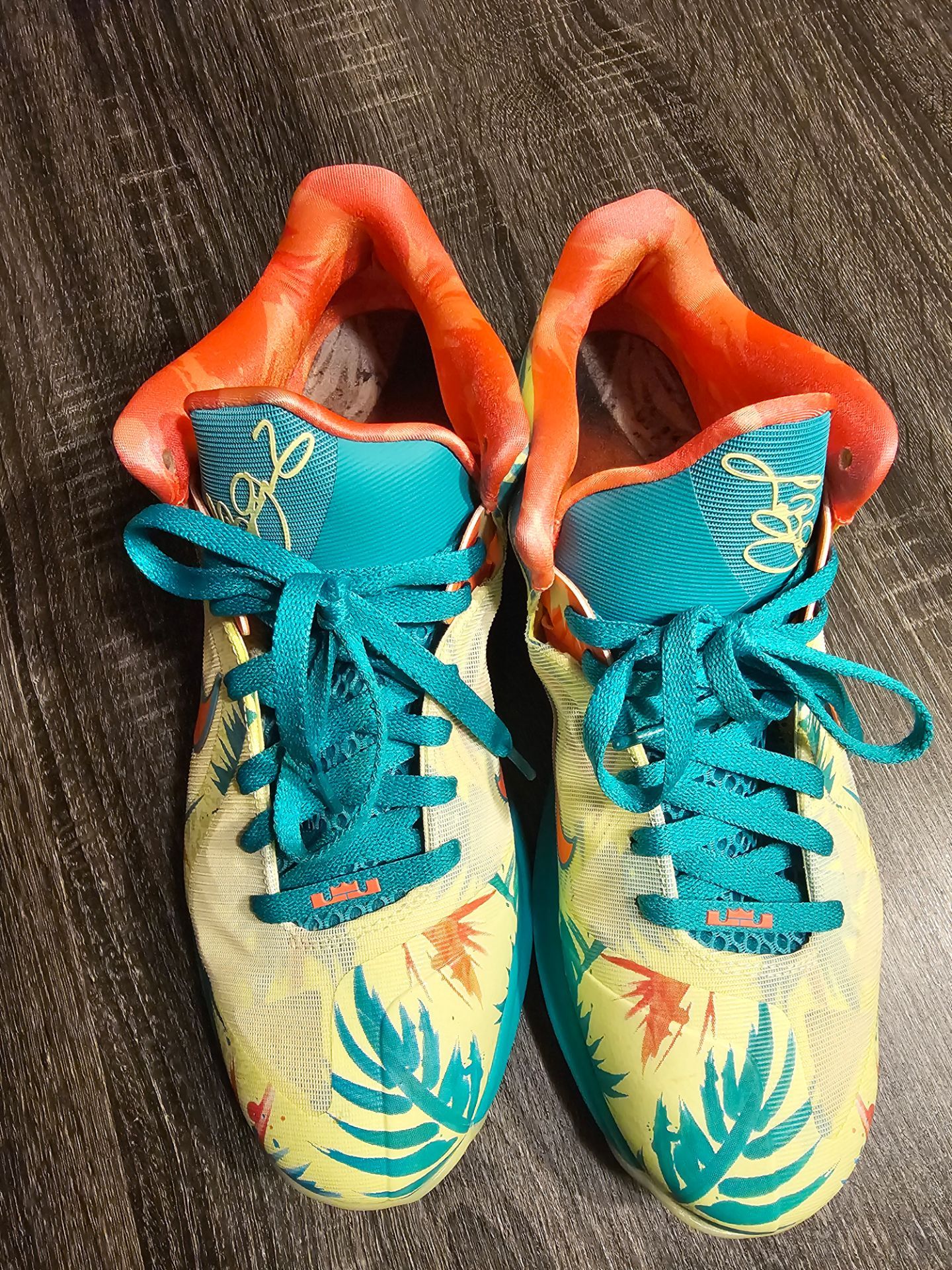 Nike LeBron 9 Low "LeBronald Palmer" Size 10.5 mens