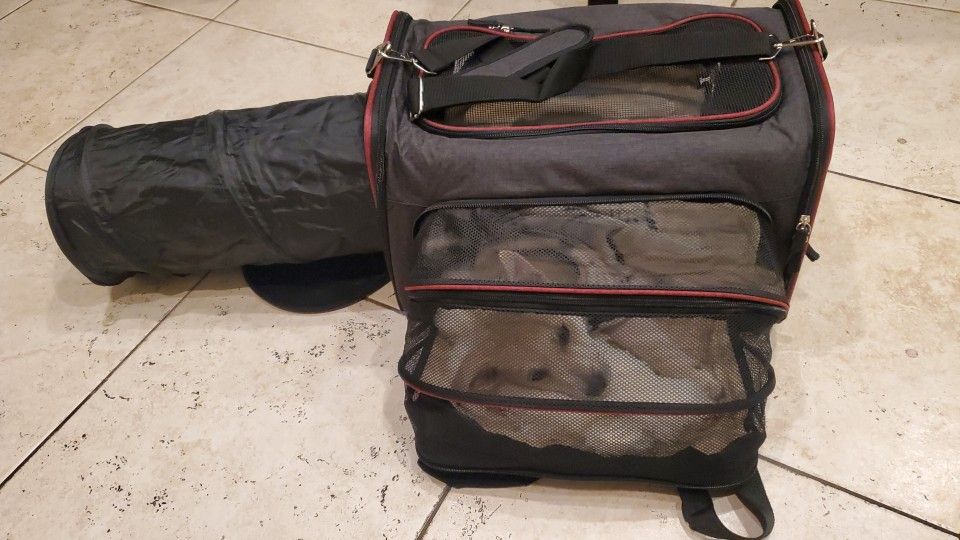 Pet Carrier Expandable  Like New