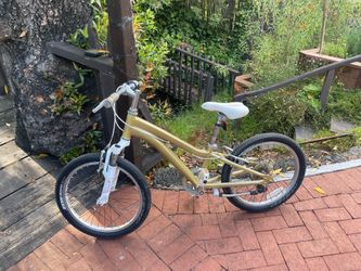 Fuji Size 20 Kids Bike 8-13