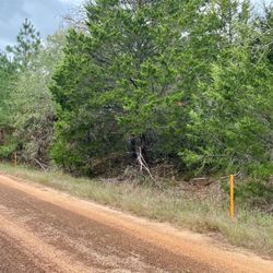 Lot #12 Deerwood Lakes  Hempstead , Texas 77445. $20,000