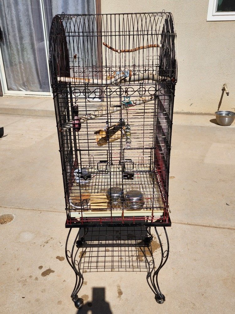 Bird Cage