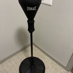 Standing Punching Bag