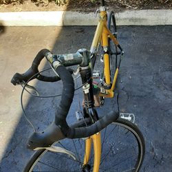 ZRX  GT Baysicle   19  19 Speed 