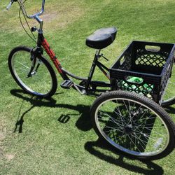 Mooncool Tricycle 