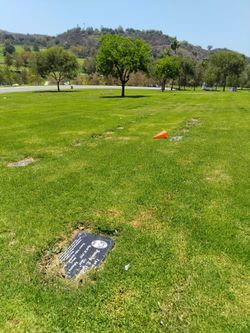 Rose Hills Cemetery plots