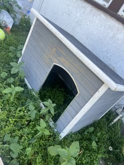 Casa De Perro
