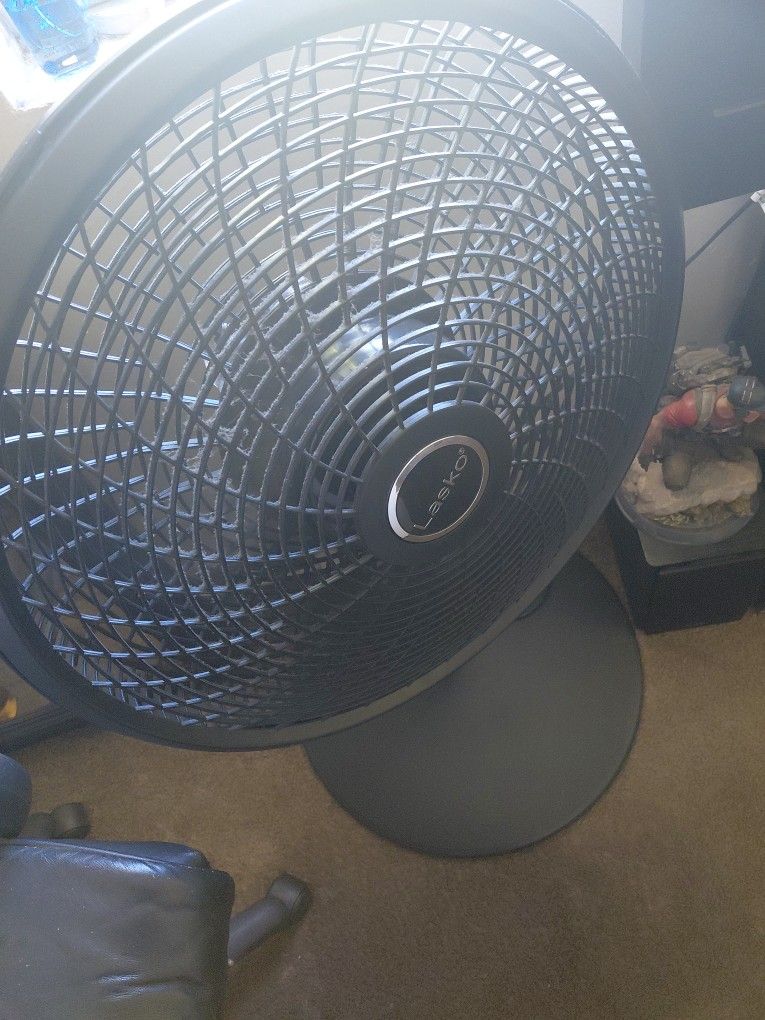 Fan