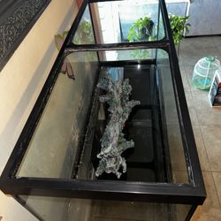 Fish Tank and stand