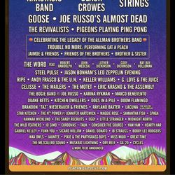 4 Day With camping Peach Music Festival Ticket 