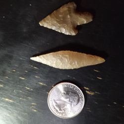 Authentic Neolithic Tool's