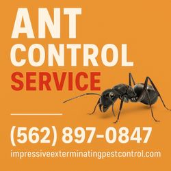 Ant GEL BAIT ..