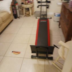 Weider Ultimate Body works