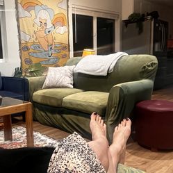 Free Comfy Loveseat - Well Loved 