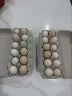 Huevos de gallina