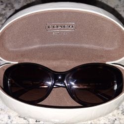 Coach Sunglasses 