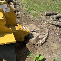 Stump Grinding 