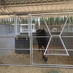 Barn corrals