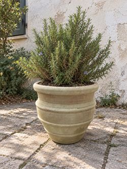 Artisan made Mediterranean Terra Cotta Planter, 16 1/2 inches wide