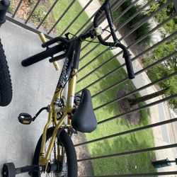 Kids Bike With Training Wheels 