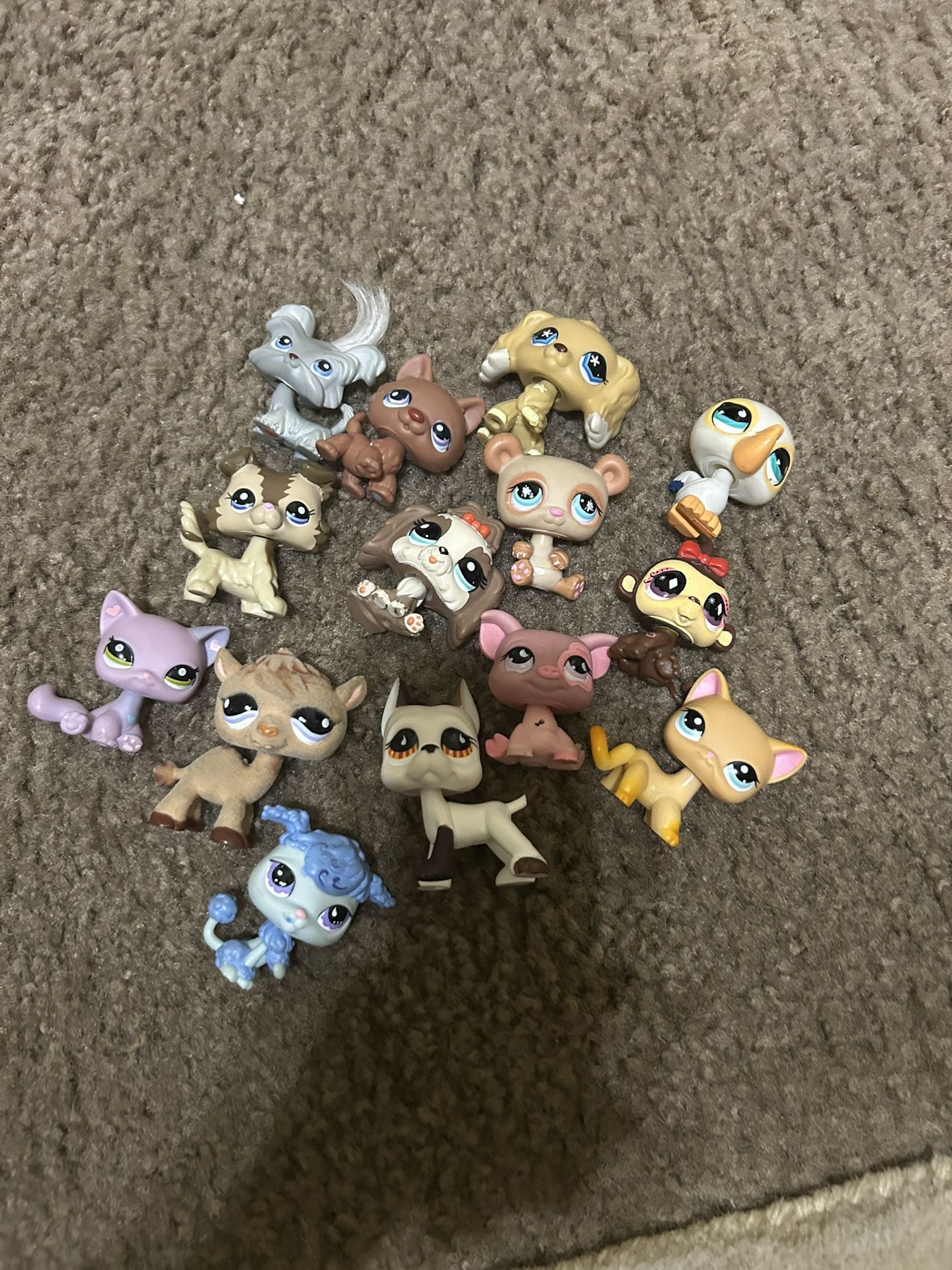 LPs Pack Dogs Cats