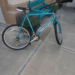 men's large frame 26 inch diamondback traverse mountain bike