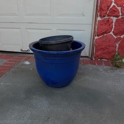 Free pot plants