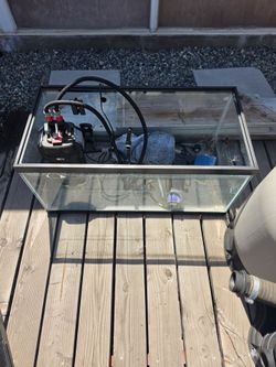Turtle tank