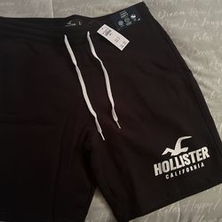 Shorts Hollister Negro