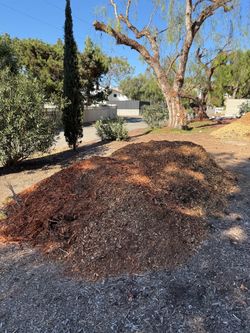 FREE  Wood Chip Mulch for landscaping