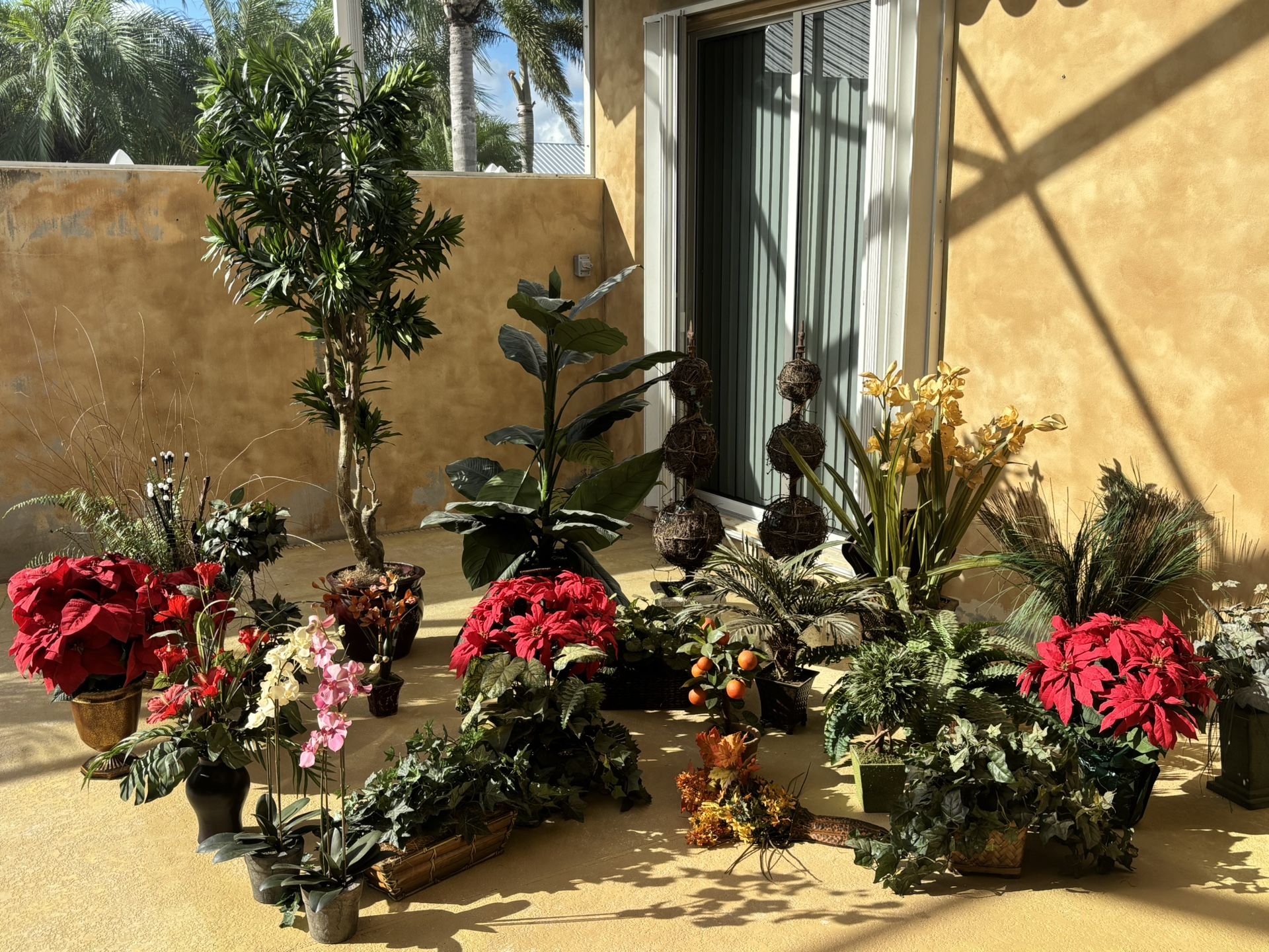Variety Silk Plants-Trees Must Take ALL