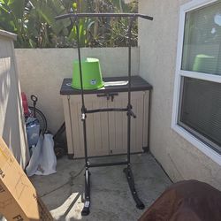 Pull Up/Dip Station